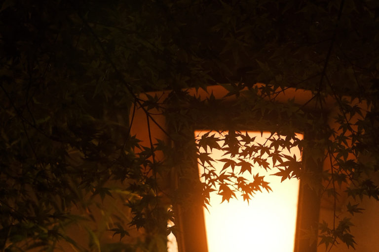 317F00E8-9321-4ED7-AC6D-26D1204B513A-63968-000018E845CE5024