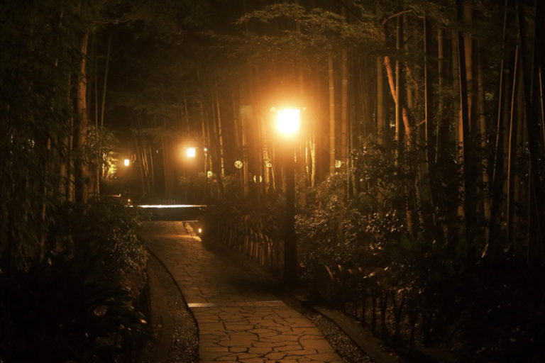 7AC83A67-7253-4EE2-88FD-CE828BEA8684-44861-00001620B300DE74