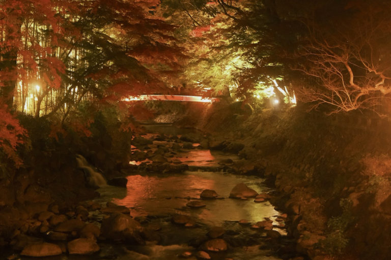 ED556C13-3E31-4964-8E3E-478CD11A4531-63968-000018E8494E3CB8